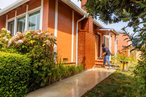 Best Pressure Washing Brick  in Black Forest, CO